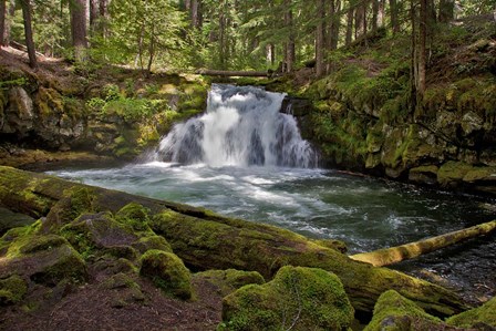 Whitehorse Falls by Larry McFerrin art print