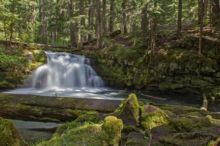 Whitehorse Falls by Larry McFerrin art print