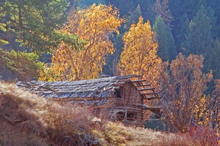 North Fork Cabin by Larry McFerrin art print