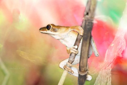 Hangin Around by Ramona Murdock art print