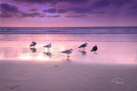 Seagull Beach I by Ramona Murdock art print