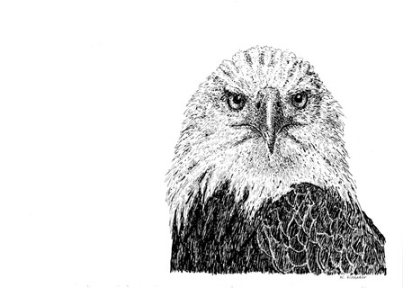 Bald eagle by Let Your Art Soar art print