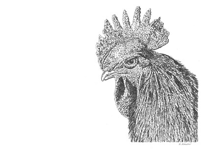 Rooster by Let Your Art Soar art print