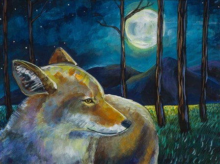 Coyote Moon by Harriet PeckTaylor art print