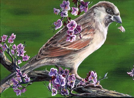 Sparrow by Greg Farrugia art print