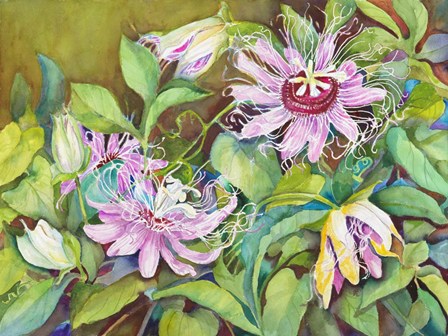 Passion Flower by Joanne Porter art print