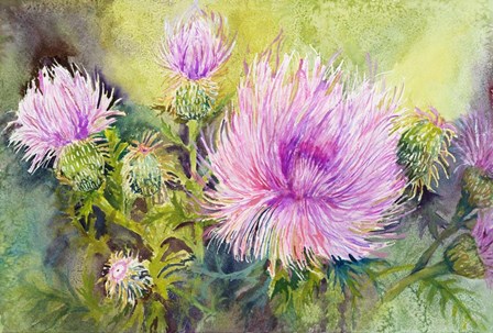 Wild Thistles by Joanne Porter art print