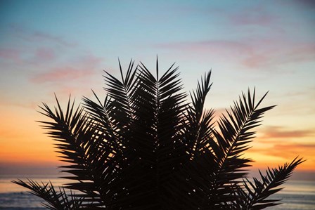 Sunset Palms II by Laura Marshall art print