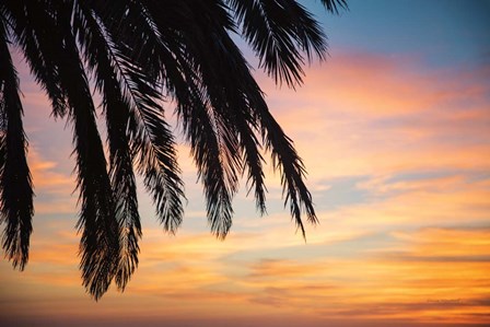 Sunset Palms I by Laura Marshall art print