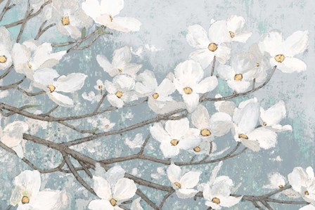 Dogwood Blossoms II Blue Gray Crop by James Wiens art print