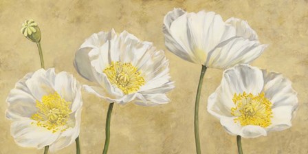 Poppies on Gold by Luca Villa art print