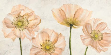 Poppies in Pink by Luca Villa art print