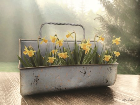 Daffodil Tin by Lori Deiter art print
