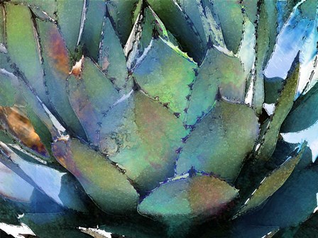 Agave by Surma &amp; Guillen art print