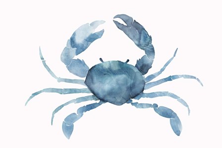 Blue Crab by Isabelle Z art print