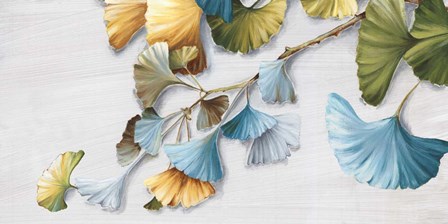 Romantic Gingko II by Eva Watts art print