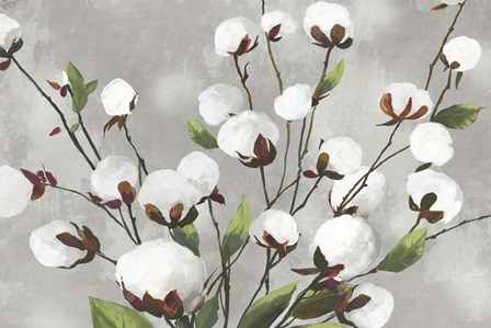 Cotton Ball Flowers I by Asia Jensen art print