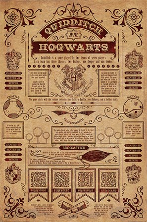 Harry Potter - Quidditch Info art print