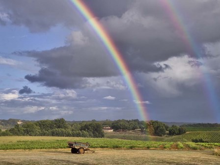 Pastoral Countryside VII by Colby Chester art print