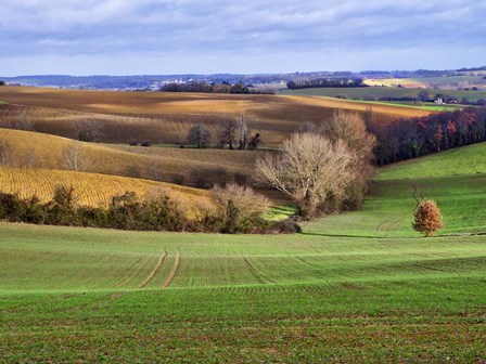 Pastoral Countryside XVII by Colby Chester art print