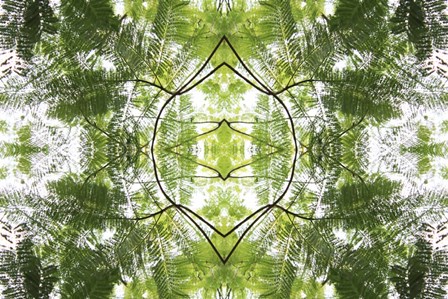 Natural Pattern 60 by Irena Orlov art print