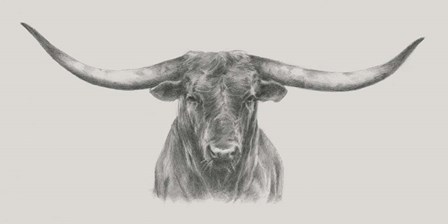 Longhorn Bull by Ethan Harper art print