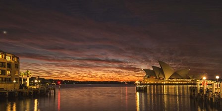 Wake Up Sydney by Danny Head art print