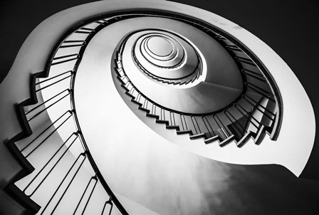 Parrot Staircase  Black/White by Duncan art print