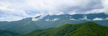 Misty Mountains II by James McLoughlin art print