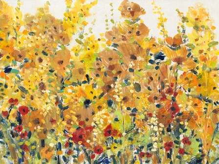 Golden Summer Garden I by Timothy O&#39;Toole art print