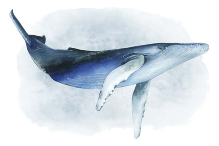 Watercolor Humpback I by Grace Popp art print