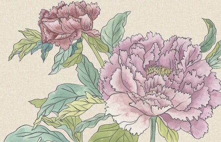 Peony Blooms I by Melissa Wang art print