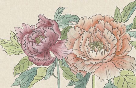 Peony Blooms IV by Melissa Wang art print