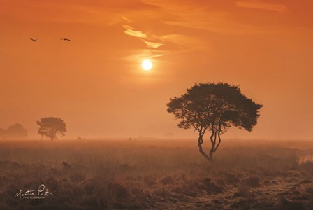 Out of Twente by Martin Podt art print