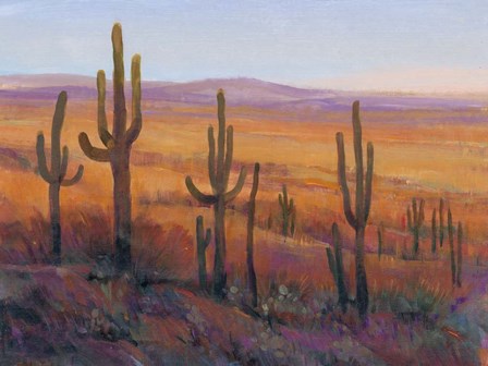 Desert Light I by Timothy O&#39;Toole art print