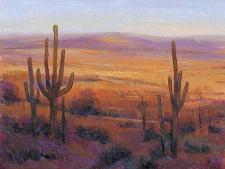 Desert Light II by Timothy O&#39;Toole art print