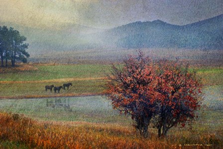 Horses And Lone Oak by Chris Vest art print