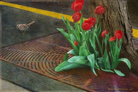 Sparrow,Tulips And Sidewalk by Chris Vest art print