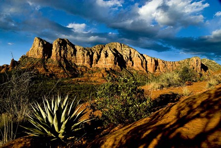 Red Rocks Of Sedona by Tom Brossart art print