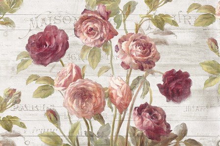 French Roses I by Danhui Nai art print