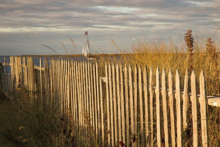 Along the Fence I by Aledanda art print