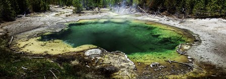 West Thumb Emerald Pool by Duncan art print