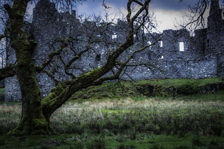 Medieval Ruins 2 by Duncan art print