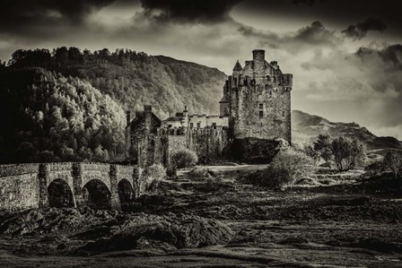 Fairytale Castle Sepia by Duncan art print