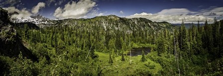 Mt Rainier Panorama by Duncan art print