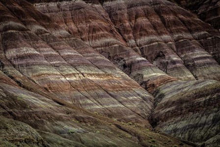 Paria Canyon by Duncan art print