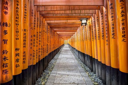 Fushimi Inari Taisha Shrine Kyoto by Nick Jackson art print