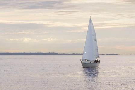 Sailboat in Semiahmoo Bay by Alan Majchrowicz art print