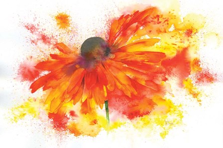 Single Rudbeckia by A.V. Art art print