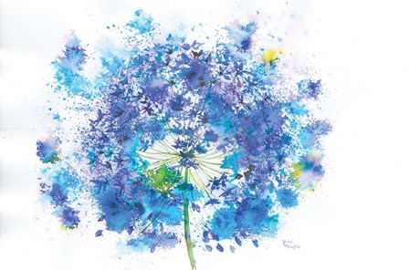 Blue Allium by A.V. Art art print